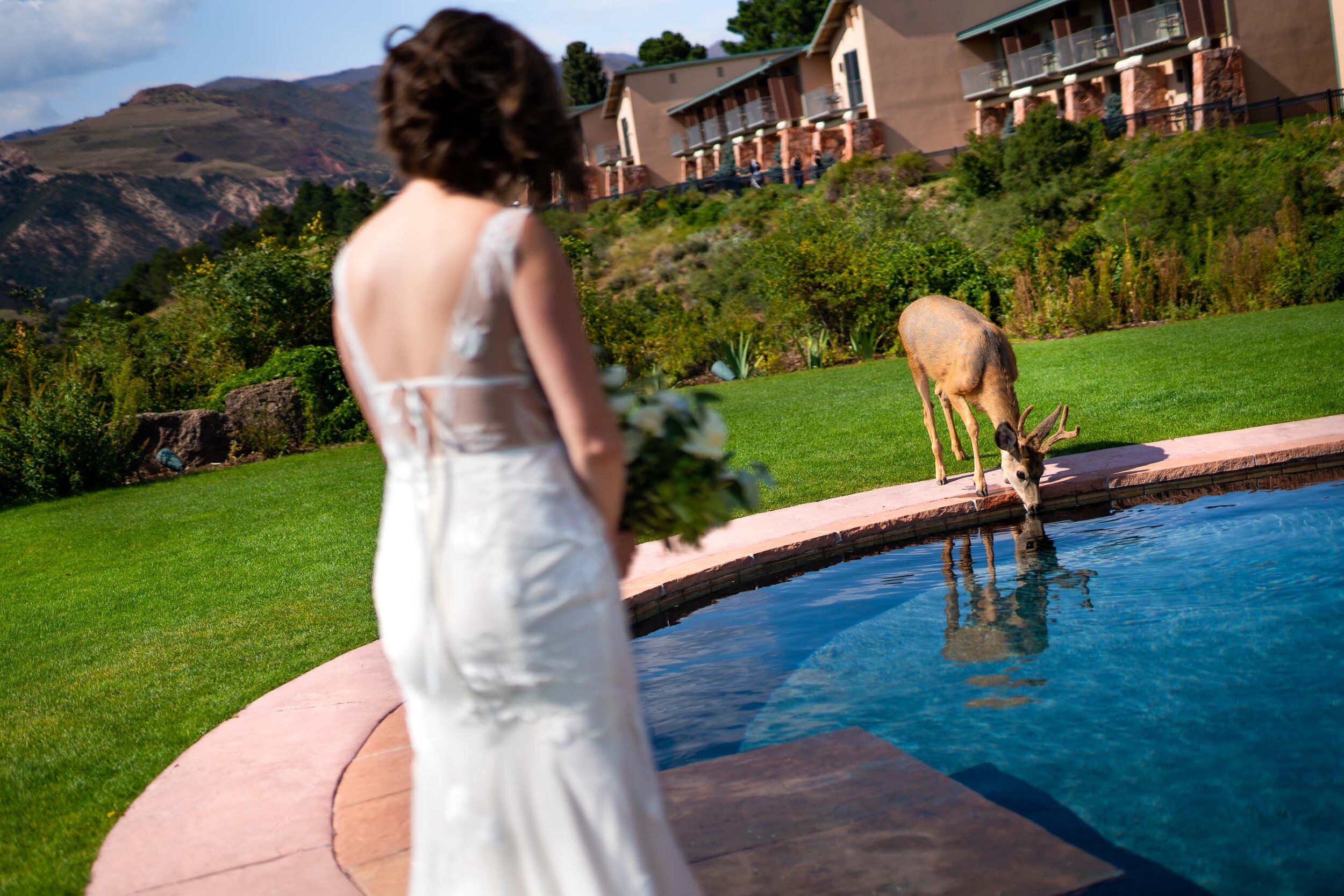 Bride and groom share a first look outside near the Garden of the Gods Park, wedding photos, wedding photography, wedding photographer, wedding inspiration, wedding photo inspiration, wedding portraits, wedding ceremony, wedding reception, mountain wedding, Garden of the Gods wedding, Garden of the Gods Club & Resort wedding, Garden of the Gods Club & Resort wedding photos, Garden of the Gods Club & Resort wedding photography, Garden of the Gods Club & Resort wedding photographer, Garden of the Gods Club & Resort wedding inspiration, Garden of the Gods Club & Resort wedding venue, Colorado Springs wedding, Colorado Springs wedding photos,  Colorado Springs wedding photography, Colorado Springs wedding photographer, Colorado wedding, Colorado wedding photos, Colorado wedding photography, Colorado wedding photographer, Colorado mountain wedding, Colorado wedding inspiration