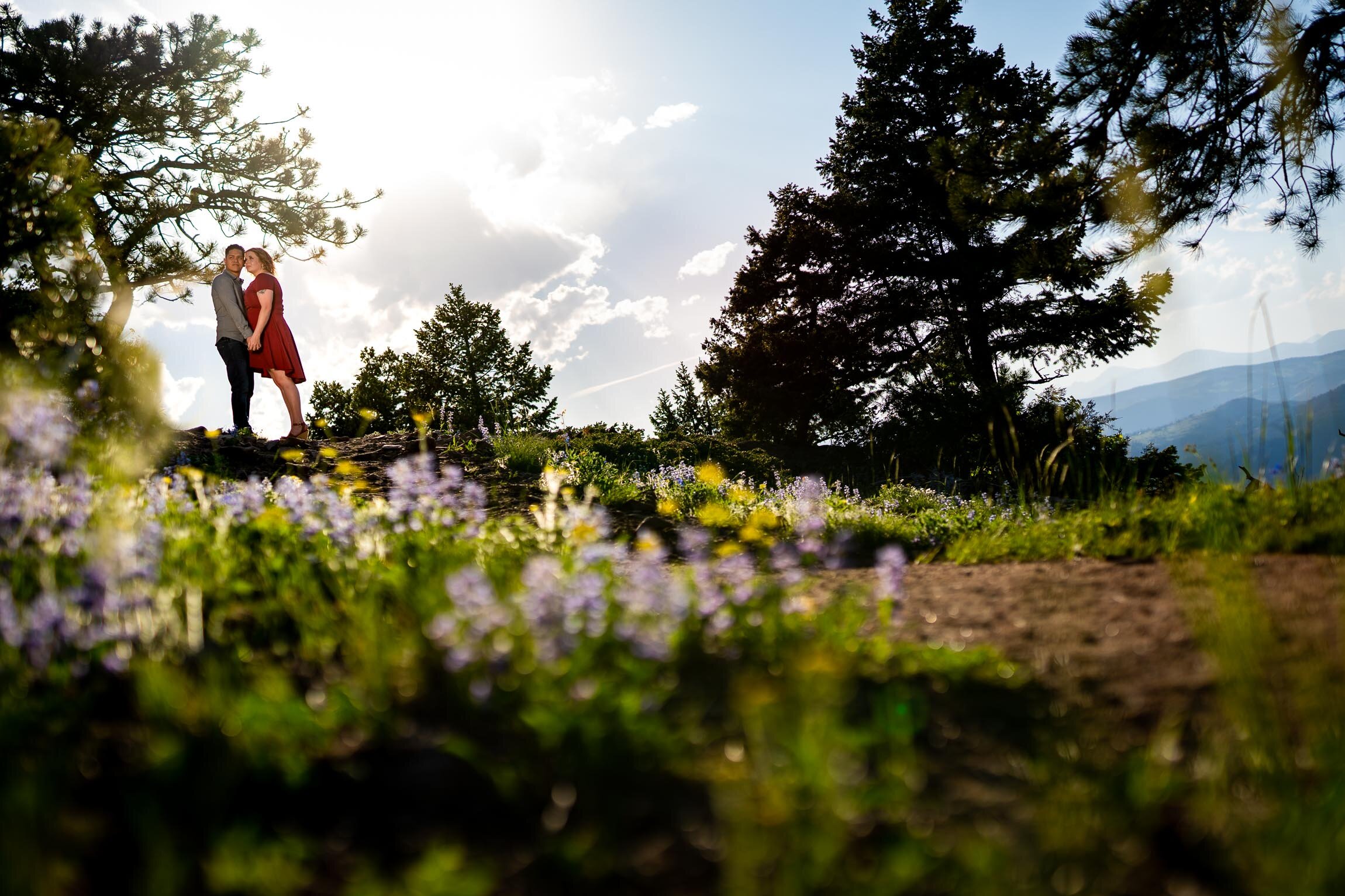 Engaged couple take portraits in a field of wildflowers in a forest during golden hour, Engagement Session, Engagement Photos, Engagement Photos Inspiration, Engagement Photography, Engagement Photographer, Summer Engagement Photos, Mountain Engagement Photos, Lost Gulch Overlook engagement session, Lost Gulch Overlook engagement photos, Lost Gulch Overlook engagement photography, Lost Gulch Overlook engagement photographer, Lost Gulch Overlook  engagement inspiration, Boulder engagement session, Boulder engagement photos, Boulder engagement photography, Boulder engagement photographer, Boulder engagement inspiration, Colorado engagement session, Colorado engagement photos, Colorado engagement photography, Colorado engagement photographer, Colorado engagement inspiration